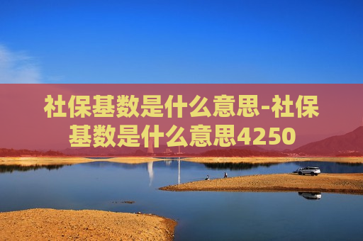 社保基数是什么意思-社保基数是什么意思4250