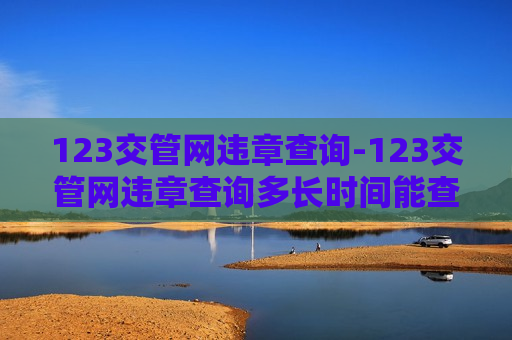 123交管网违章查询-123交管网违章查询多长时间能查到