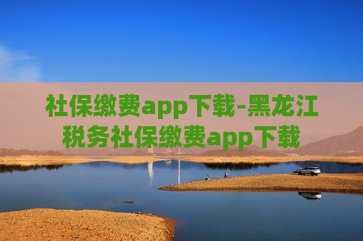 社保缴费app下载-黑龙江税务社保缴费app下载