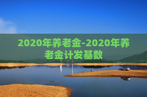 2020年养老金-2020年养老金计发基数