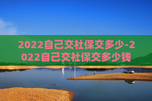 2022自己交社保交多少-2022自己交社保交多少钱