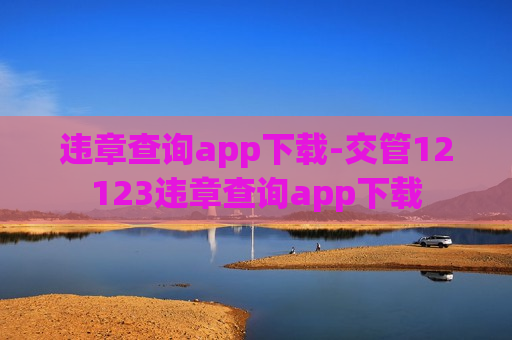 违章查询app下载-交管12123违章查询app下载