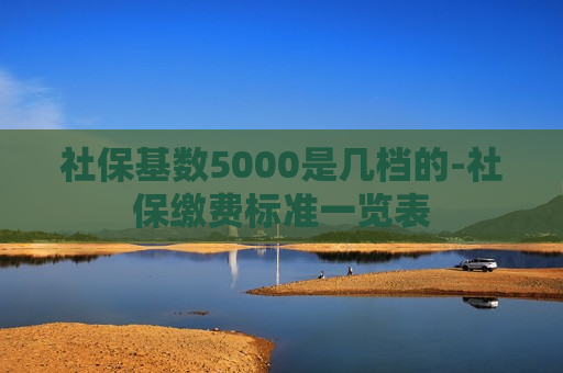 社保基数5000是几档的-社保缴费标准一览表