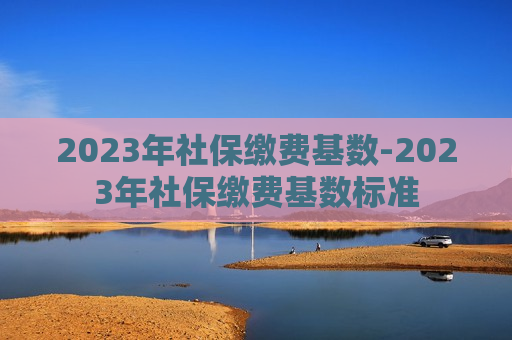 2023年社保缴费基数-2023年社保缴费基数标准