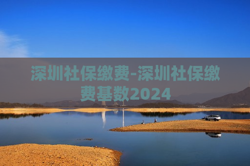 深圳社保缴费-深圳社保缴费基数2024