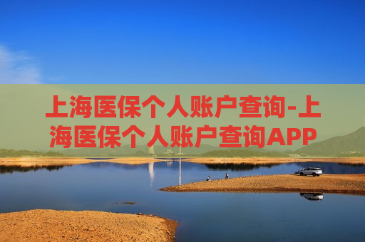 上海医保个人账户查询-上海医保个人账户查询APP