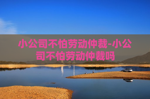 小公司不怕劳动仲裁-小公司不怕劳动仲裁吗