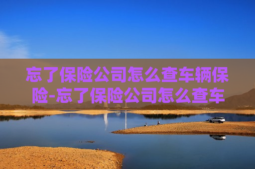 忘了保险公司怎么查车辆保险-忘了保险公司怎么查车辆保险在哪家公司