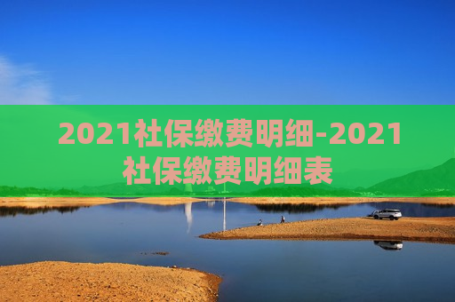 2021社保缴费明细-2021社保缴费明细表