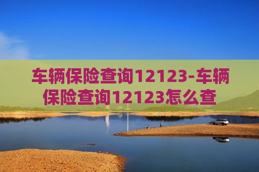 车辆保险查询12123-车辆保险查询12123怎么查