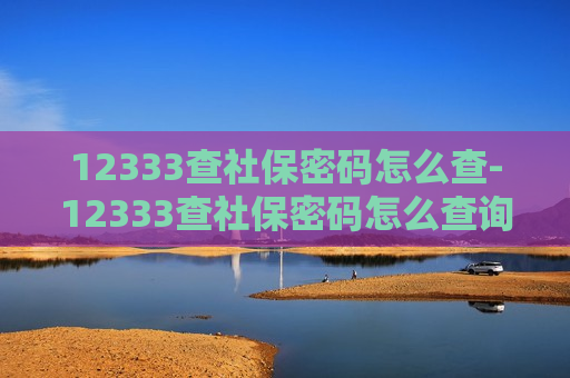 12333查社保密码怎么查-12333查社保密码怎么查询