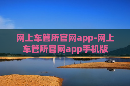 网上车管所官网app-网上车管所官网app手机版