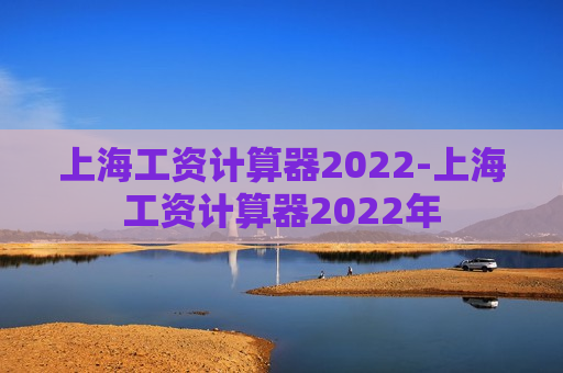 上海工资计算器2022-上海工资计算器2022年