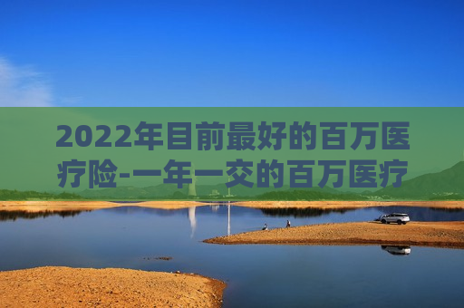 2022年目前最好的百万医疗险-一年一交的百万医疗保险合适吗