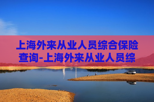 上海外来从业人员综合保险查询-上海外来从业人员综合保险查询2020年