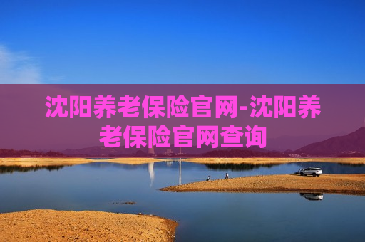 沈阳养老保险官网-沈阳养老保险官网查询