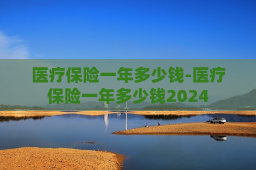 医疗保险一年多少钱-医疗保险一年多少钱2024