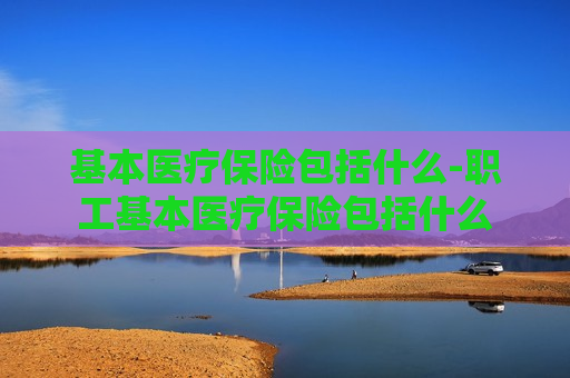 基本医疗保险包括什么-职工基本医疗保险包括什么