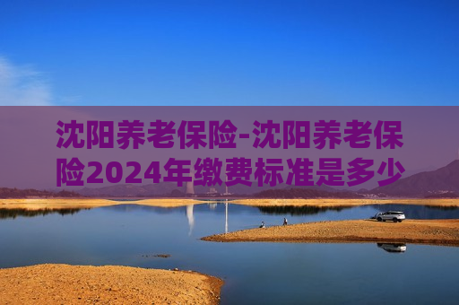 沈阳养老保险-沈阳养老保险2024年缴费标准是多少