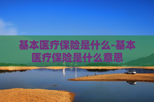 基本医疗保险是什么-基本医疗保险是什么意思