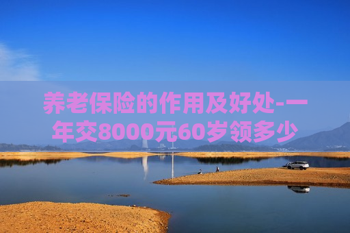 养老保险的作用及好处-一年交8000元60岁领多少