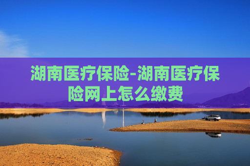 湖南医疗保险-湖南医疗保险网上怎么缴费