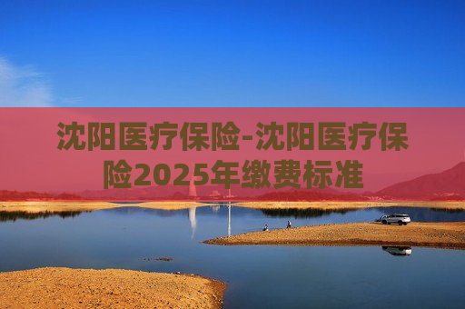 沈阳医疗保险-沈阳医疗保险2025年缴费标准