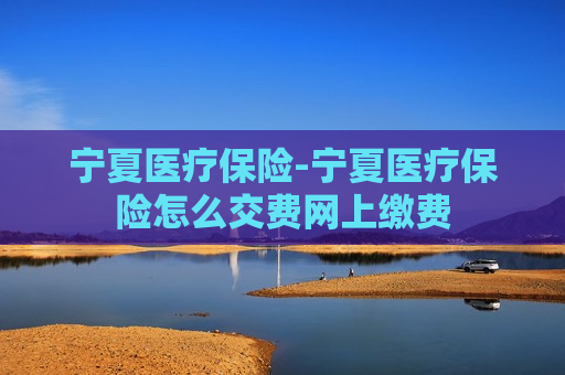 宁夏医疗保险-宁夏医疗保险怎么交费网上缴费