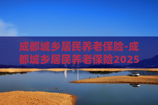 成都城乡居民养老保险-成都城乡居民养老保险2025年缴费标准