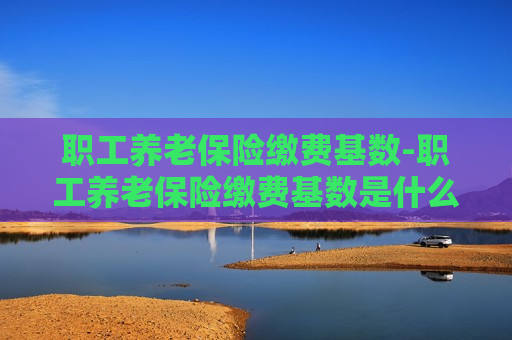 职工养老保险缴费基数-职工养老保险缴费基数是什么意思