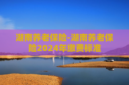 湖南养老保险-湖南养老保险2024年缴费标准