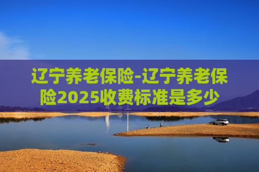 辽宁养老保险-辽宁养老保险2025收费标准是多少