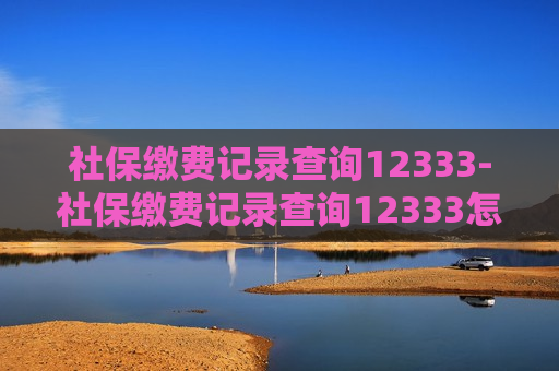 社保缴费记录查询12333-社保缴费记录查询12333怎么查