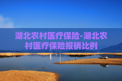 湖北农村医疗保险-湖北农村医疗保险报销比例