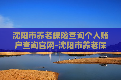 沈阳市养老保险查询个人账户查询官网-沈阳市养老保险查询个人账户查询官网电话