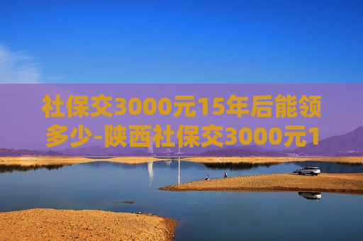 社保交3000元15年后能领多少-陕西社保交3000元15年后能领多少