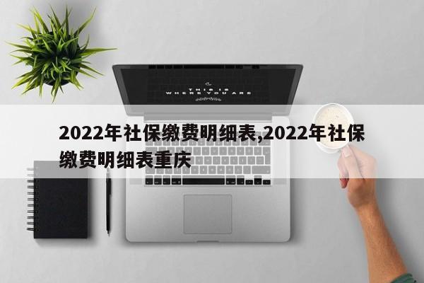 2022年社保缴费明细表,2022年社保缴费明细表重庆