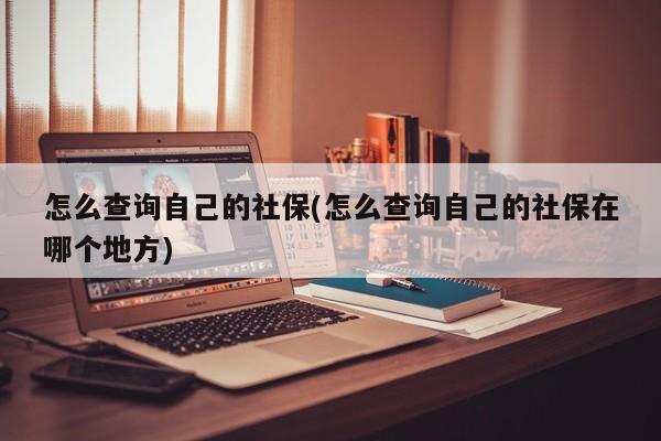 怎么查询自己的社保(怎么查询自己的社保在哪个地方)