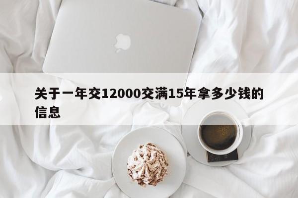 关于一年交12000交满15年拿多少钱的信息