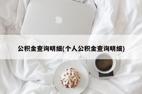 公积金查询明细(个人公积金查询明细)