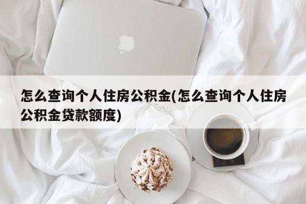 怎么查询个人住房公积金(怎么查询个人住房公积金贷款额度)