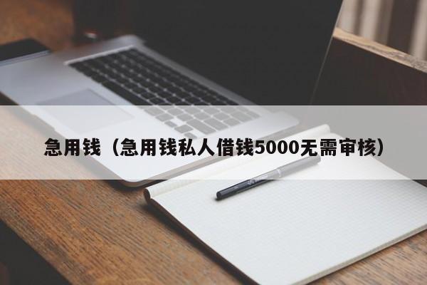 急用钱（急用钱私人借钱5000无需审核）