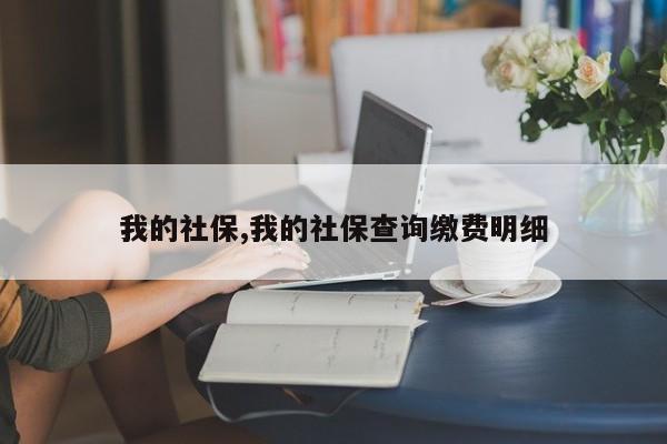 我的社保,我的社保查询缴费明细