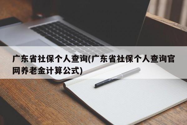 广东省社保个人查询(广东省社保个人查询官网养老金计算公式)