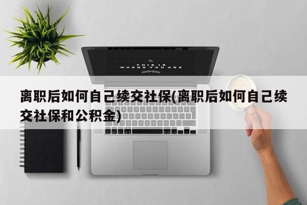 离职后如何自己续交社保(离职后如何自己续交社保和公积金)