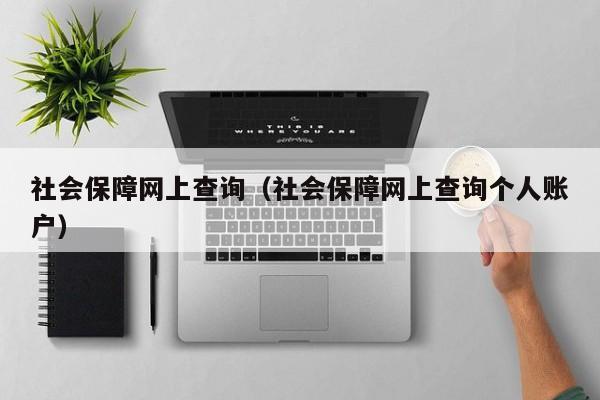 社会保障网上查询（社会保障网上查询个人账户）