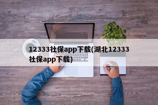 12333社保app下载(湖北12333社保app下载)