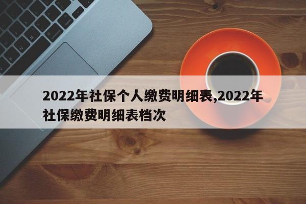 2022年社保个人缴费明细表,2022年社保缴费明细表档次