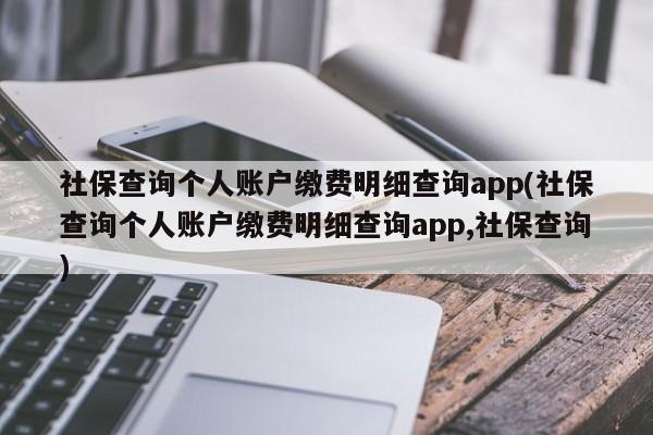 社保查询个人账户缴费明细查询app(社保查询个人账户缴费明细查询app,社保查询)