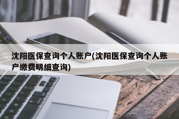 沈阳医保查询个人账户(沈阳医保查询个人账户缴费明细查询)